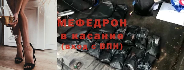 гашик Алексин