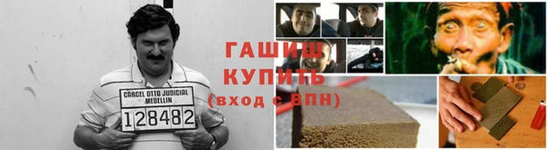 прущие грибы Алексеевка