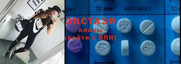 гашик Алексин