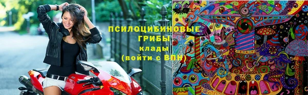 прущие грибы Алексеевка