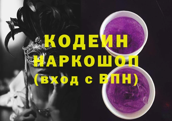гашик Алексин