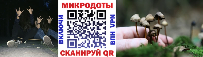 Псилоцибиновые грибы GOLDEN TEACHER  что такое   Наволоки 